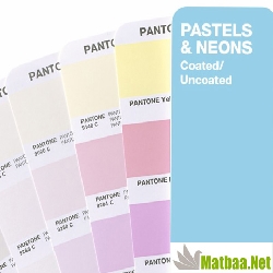 pantone Spot Renk Katalogu